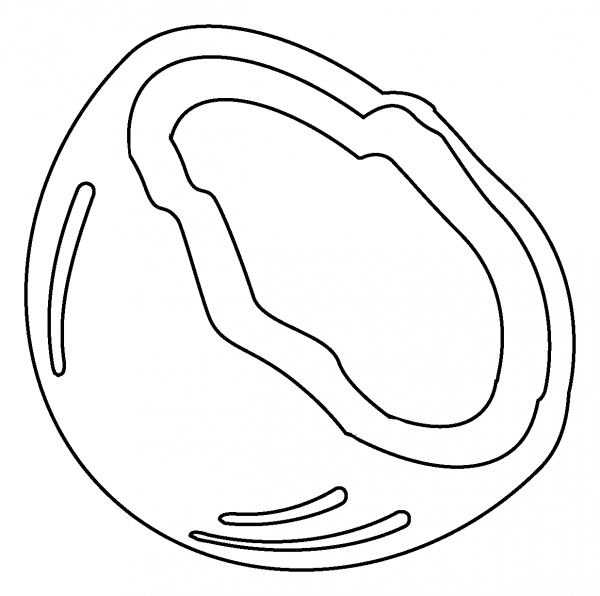 Coconut Emoji coloring page image