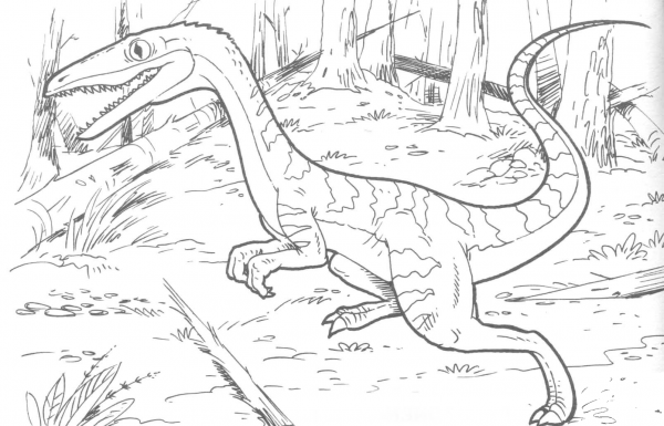 Coelophysis Bauri Dinosaur coloring page image