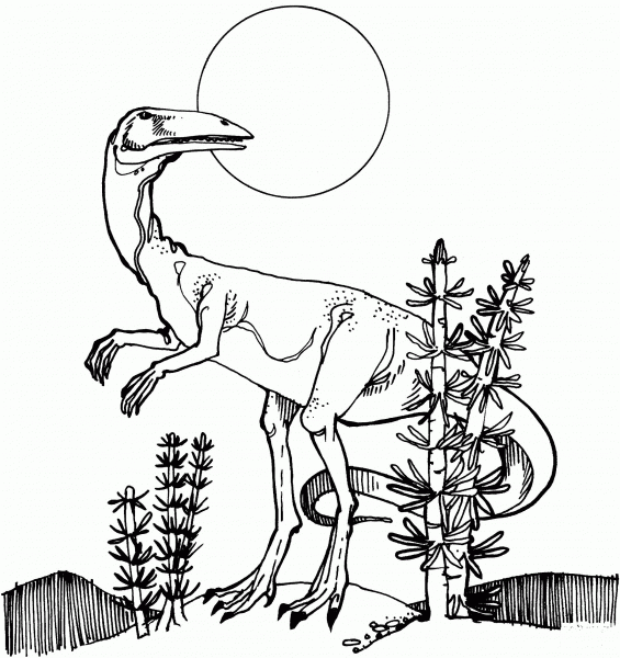 Coelophysis coloring page image