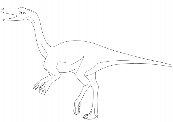 Coelophysis coloring page image