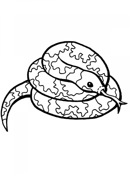 Coiled Snake coloring page image