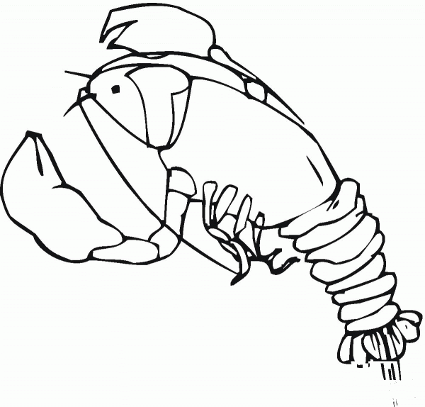 Cold water lobster coloring page image