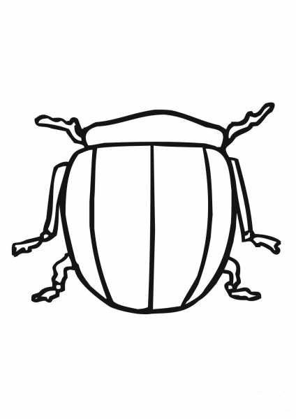 Colorado beetle coloring page image