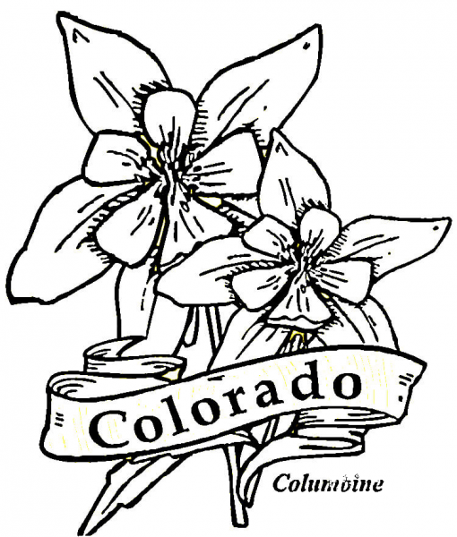 Colorado  coloring page image