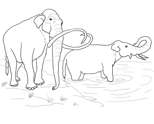 Columbian Mammoth coloring page image