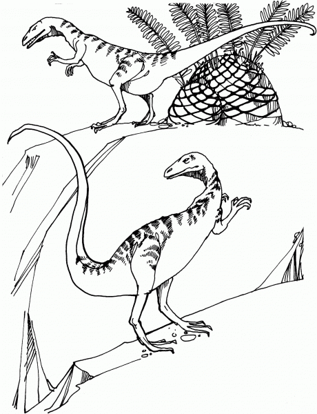 Compsognathus coloring page image