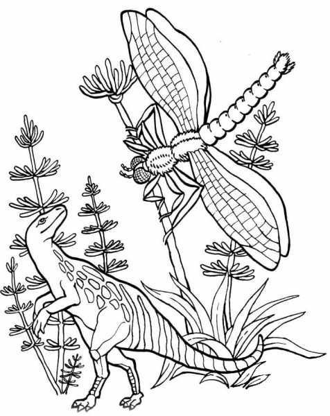 Compsognatus and Meganeura coloring page image