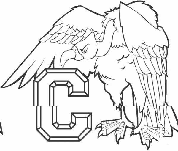 Condor coloring page image