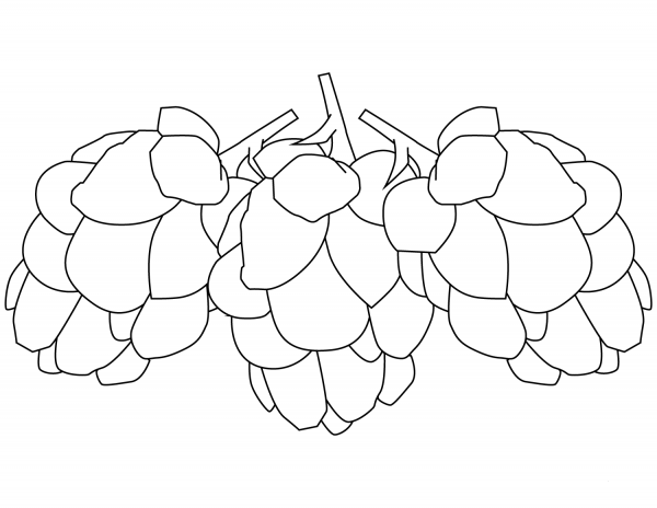 Cones coloring page image