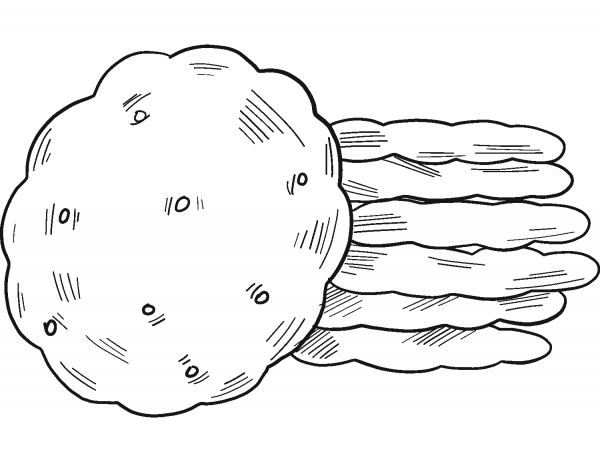 Cookies coloring page image