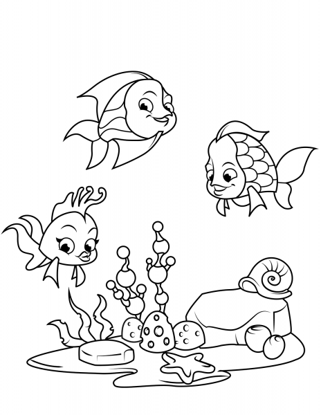 Coral Reef Fish coloring page image