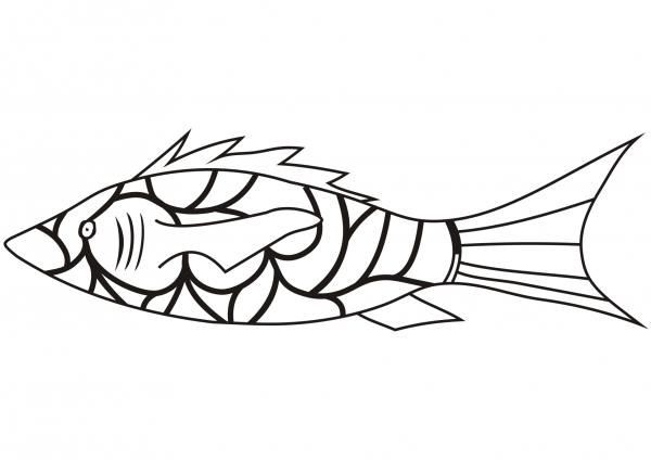 Coral Reef Fish coloring page image