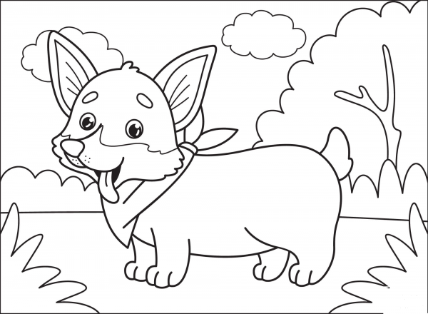 Corgi coloring page image