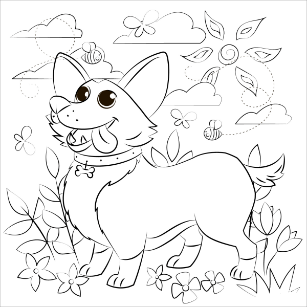 Corgi coloring page image
