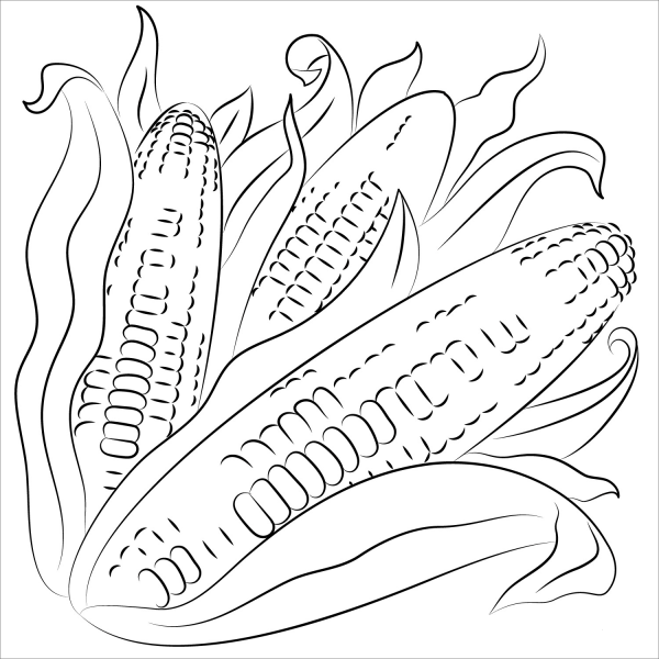 Corn coloring page image