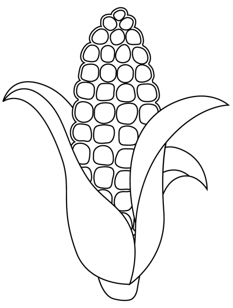 Corn Stalk coloring page image