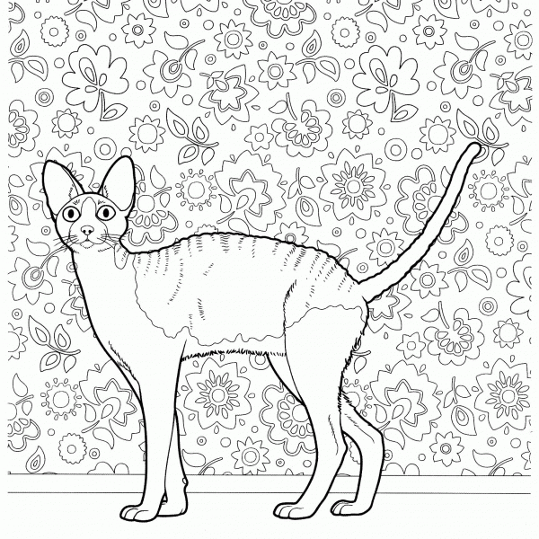 Cornish Rex  coloring page image