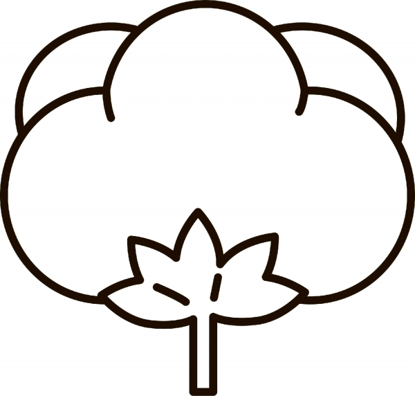 Cotton flower coloring page image