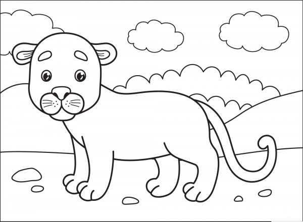 Cougar coloring page image