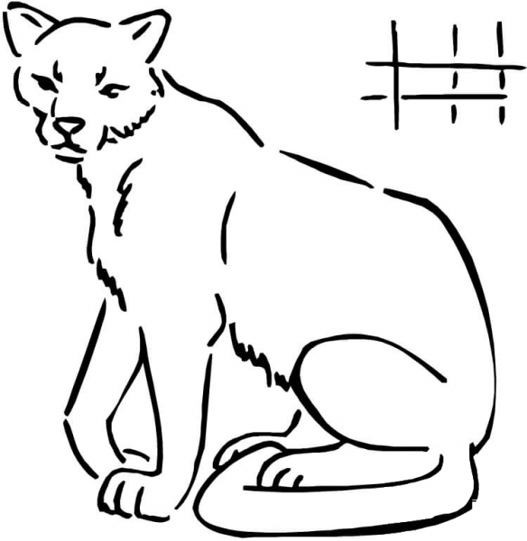 Cougar  coloring page image