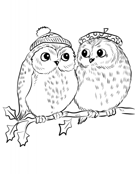 Couple of Cute Owls coloring page image