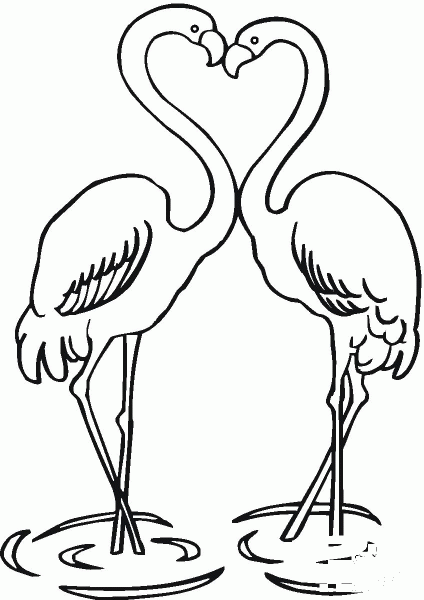 Couple Of Flamingo coloring page image