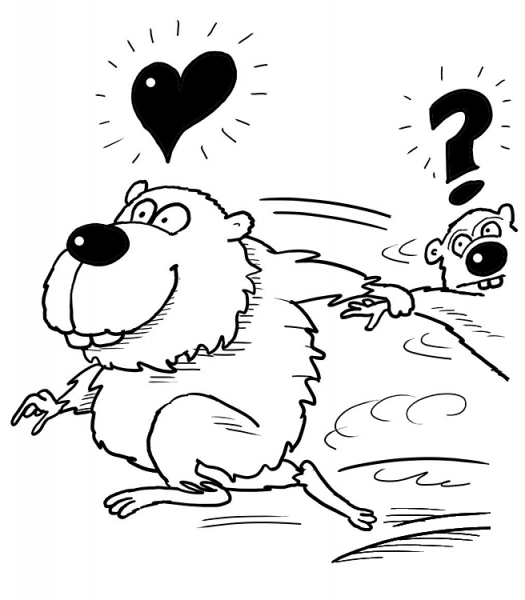 Couple Of Hamsters Are Running Away  coloring page image