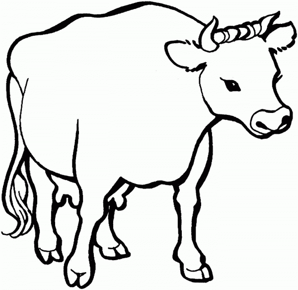Cow 1 coloring page image