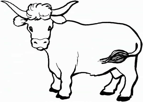 Cow 10 coloring page image
