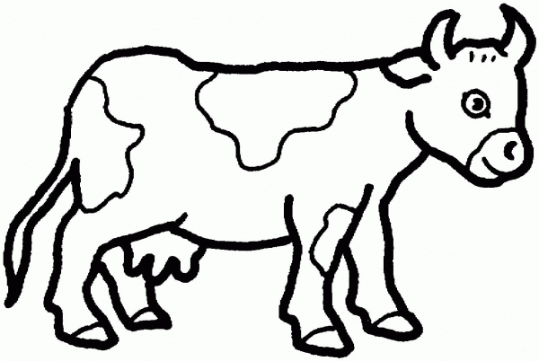 Cow 20 coloring page image