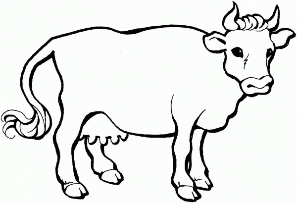 Cow 21 coloring page image