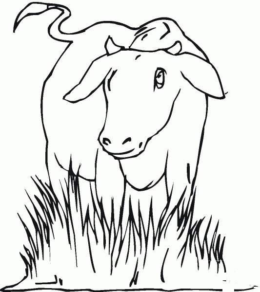 Cow 23 coloring page image
