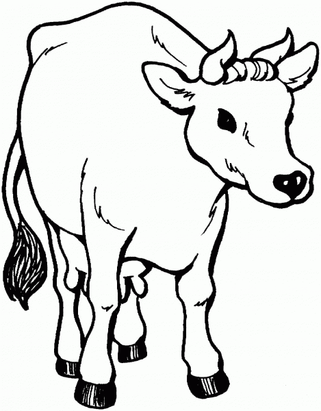 Cow 26 coloring page image