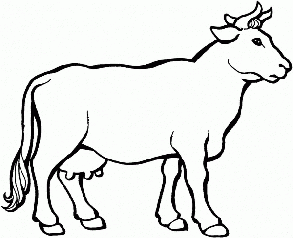 Cow 3 coloring page image
