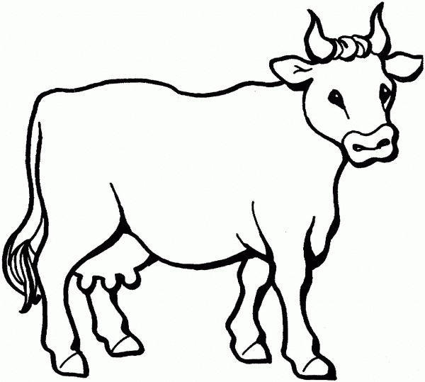 Cow 6 coloring page image