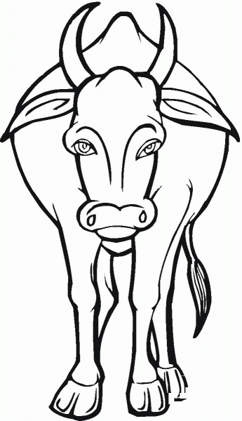 Cow 7 coloring page image