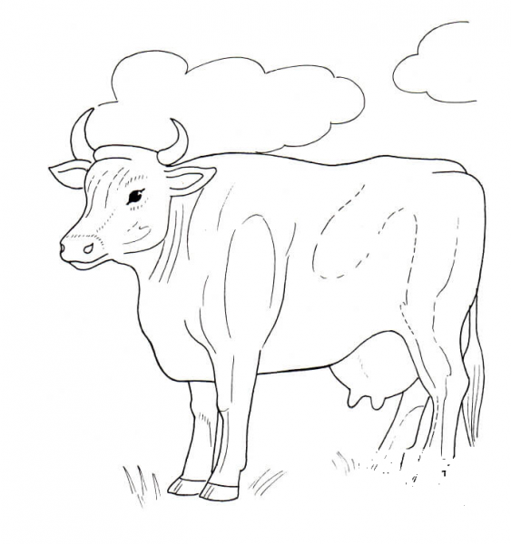 Cow And Clouds coloring page image