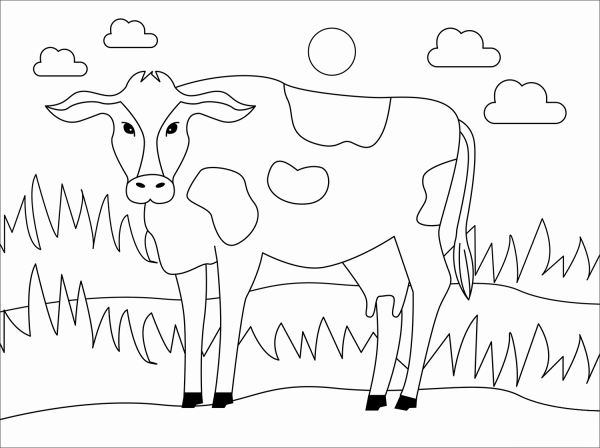 Cow coloring page image