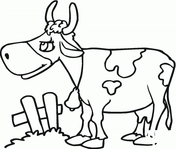 Cow Illustration 3 coloring page image