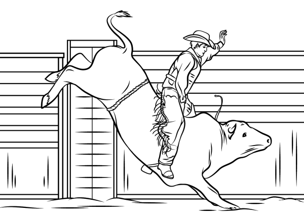 Cowboy Riding a Bull coloring page image