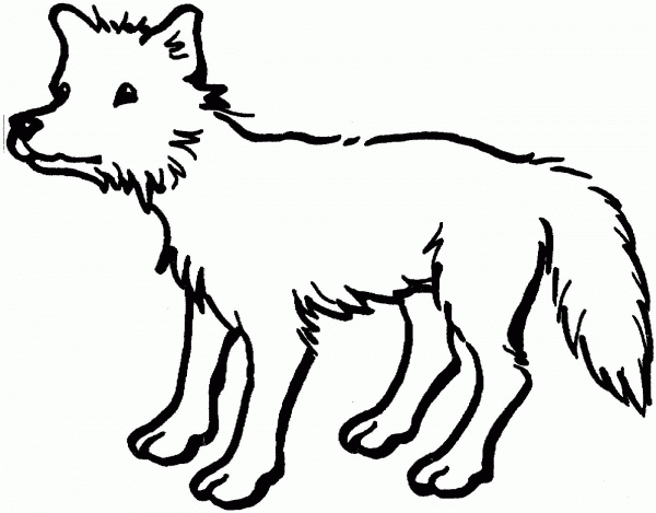 Coyote 3 coloring page image
