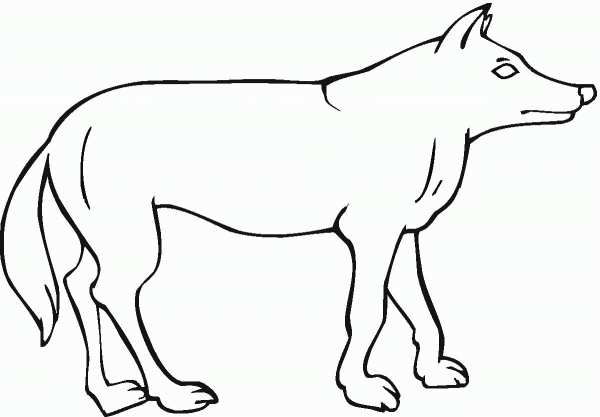 Coyote 8 coloring page image