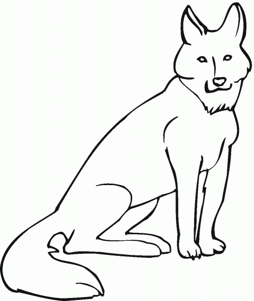Coyote coloring page image