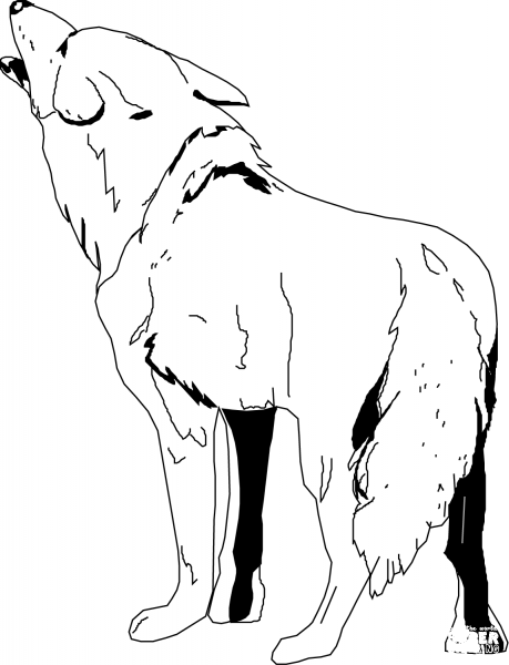 Coyote coloring page image
