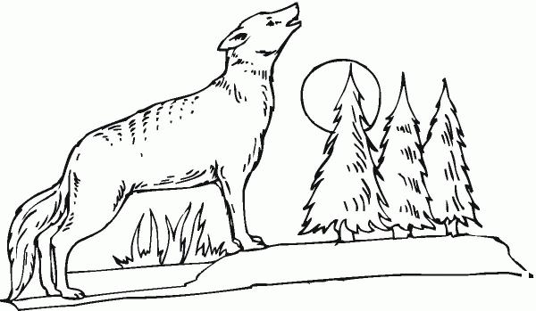 Coyote howling at the moon coloring page image