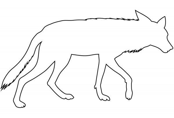 Coyote Outline coloring page image