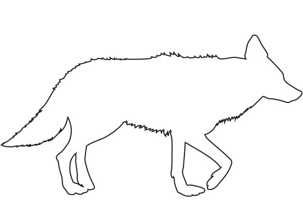 Coyote outline coloring page image