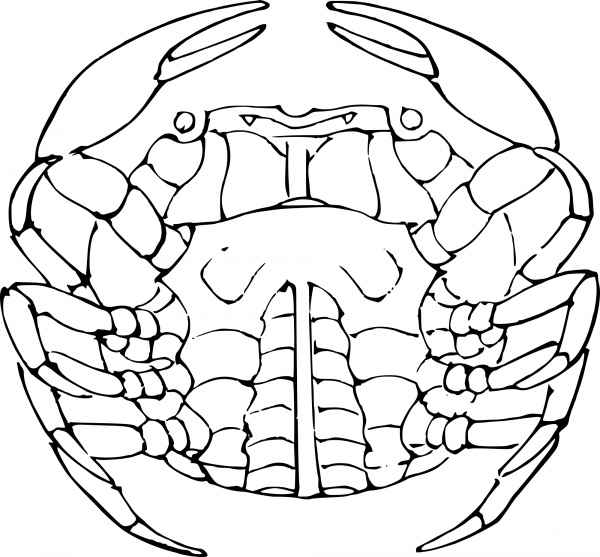 Crab Circle coloring page image