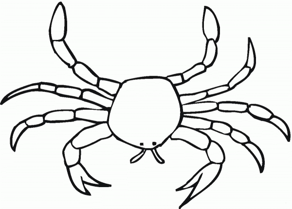 Crab  coloring page image