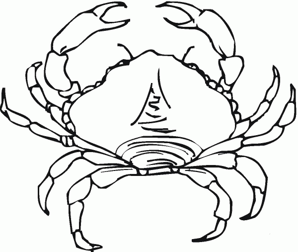 Crab  coloring page image